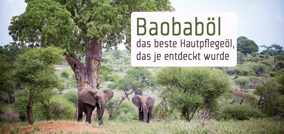 Baobaböl das beste Hautpflegeöl das je entdeckt wurde